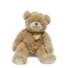 Histoire d'ours Doudou peluche ours marron 25 cm D&C (28375)