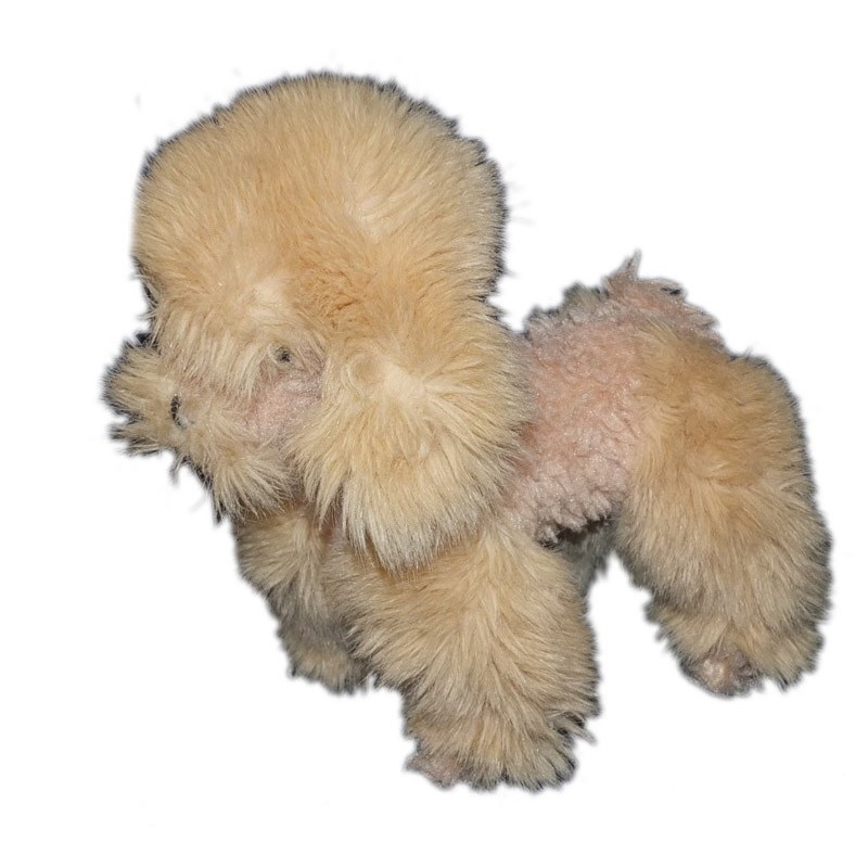 boulgom-peluche-chien-beige-28-cm-caniche (16367)