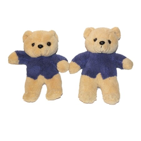 Lot de 2 doudou Ours beige bleu Dermactive 18 cm (27361)