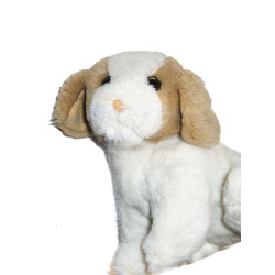 Vintage - Ancienne Peluche chien blanc beige Boulgom 22cm  | DestockBaby