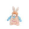 Doudou Lapin rose bleu 28 cm Nounours