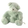 Doudou Peluche Ours vert clair DPAM - Du Pareil au Meme - 20 cm (20562)