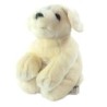 Peluche Doudou chien blanc ecru creme KEEL TOYS 22 cm (26412)
